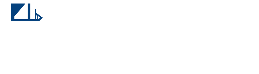 Cormorant Company Logo - Defense and Aviation Company founded by Sajad Haider